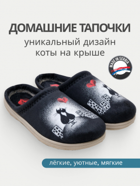 VESNA тапочки женские, 175, принт коты на крыше 175-cat-37 фото
