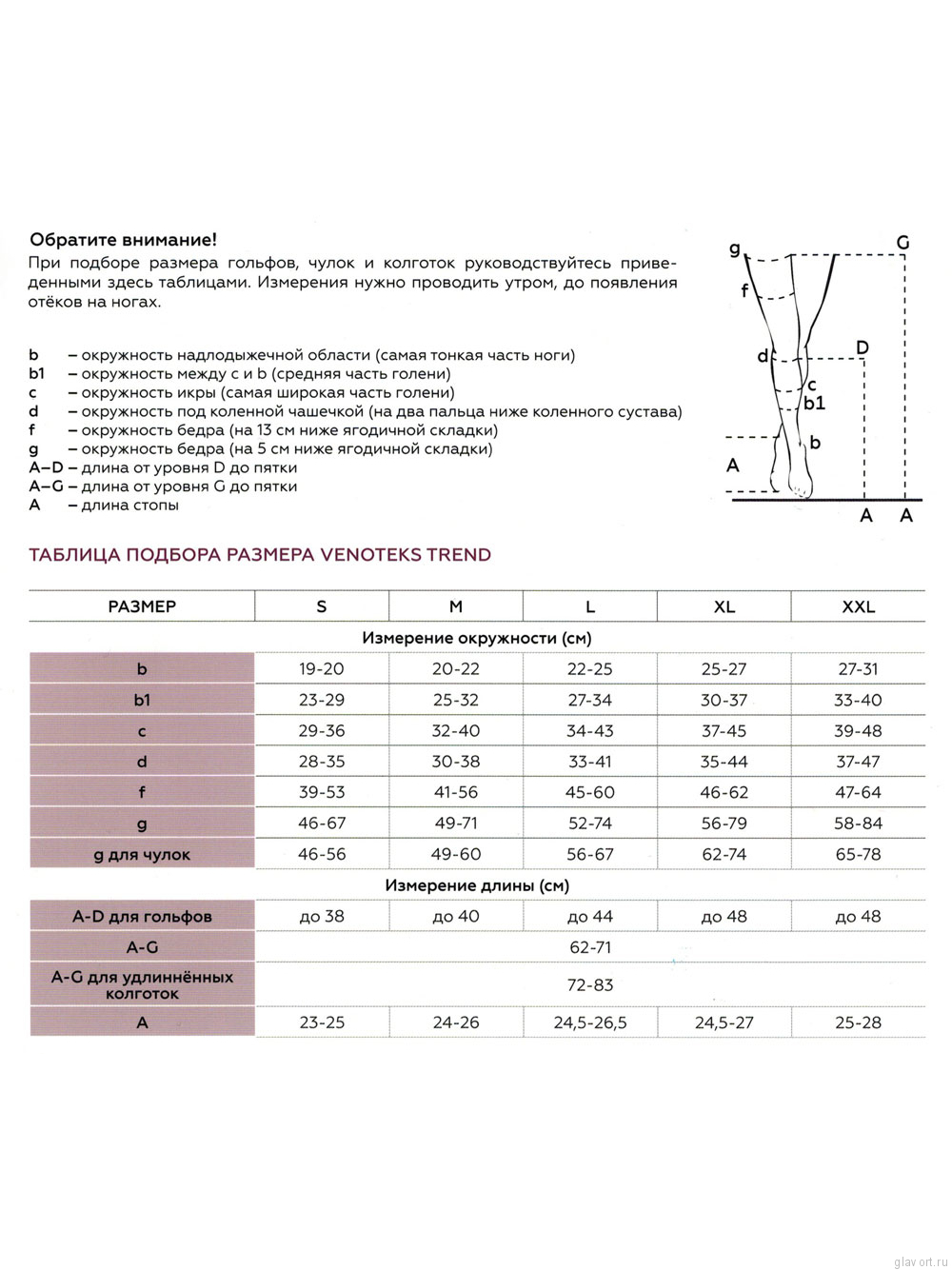 Размер чулков таблица. Размерная сетка компрессионных чулок Venoteks 2c218. Компрессионные колготы Venoteks 2 класс Размерная таблица. Чулки Venoteks trend 2c205 с ажурной резинкой противоварикозные, 2 класс. Венотекс чулки 1 компрессии Размерная сетка.