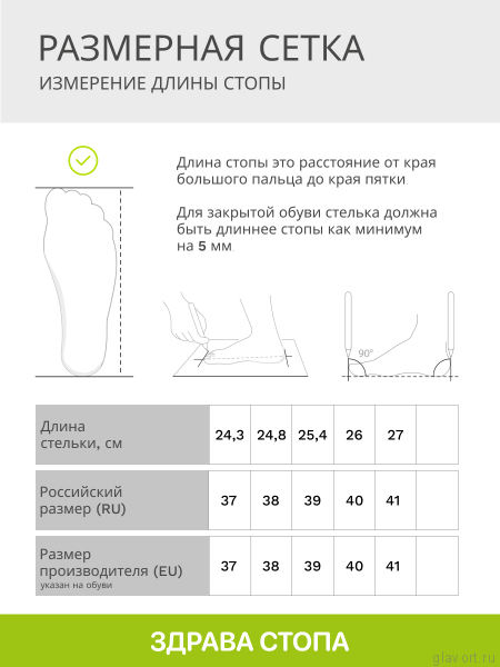 SCHOLL NEW BONUS сабо, синий F219041040-39 фото