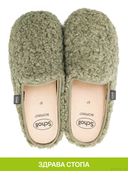 SCHOLL MADDY тапочки женские, зеленый F309051028-36 фото