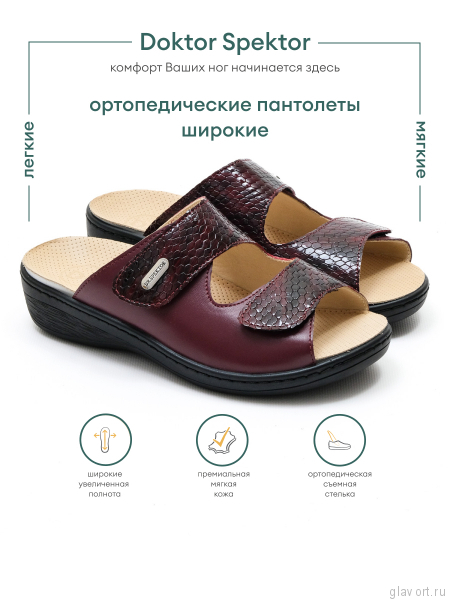 Dr.Spektor пантолеты женские 2301-4D-9, бордо 2301-4D-9-38 фото
