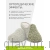 SCHOLL MADDY тапочки женские, зеленый F309051028-36 фото